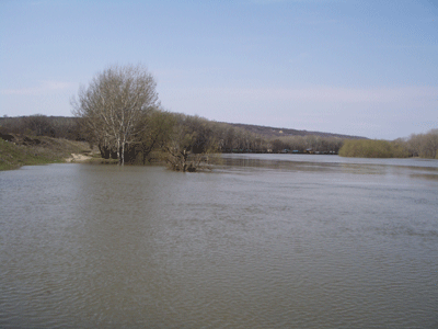 Drum inundat la Dubăsarii Vechi