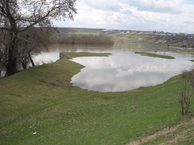 Capul de pod Şerpeni